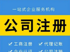 中小企业财务管理咨询 账务规范+成本管控+风险规避 专业会计