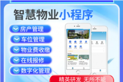 程序开发|软件制作|定制软件|定制网站、开发网站、制作网站、