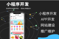 系统软件、应用软件、网站开发等 小程序+公众号+分销
