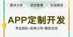 网站建设/推广·软件开发、网页设计、APP开发、软件定制、小